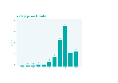 Medewerkersenquete_Vind je je werk leuk, september 2021 (Schoonmakend Nederland)