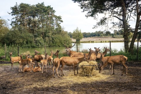 144SchoonmakendNederland31aug23.jpg