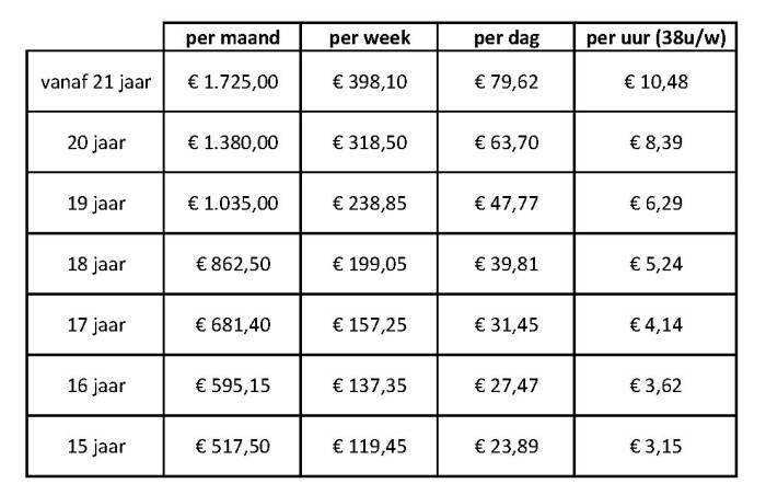 Wettelijk minimumloon 2022